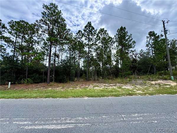 0.24 Acres of Land for Sale in Citrus Springs, Florida