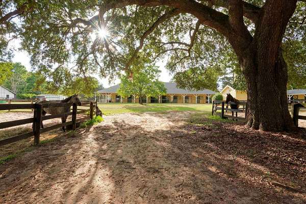 5.19 Acres of Land with Home for Sale in Aiken, South Carolina