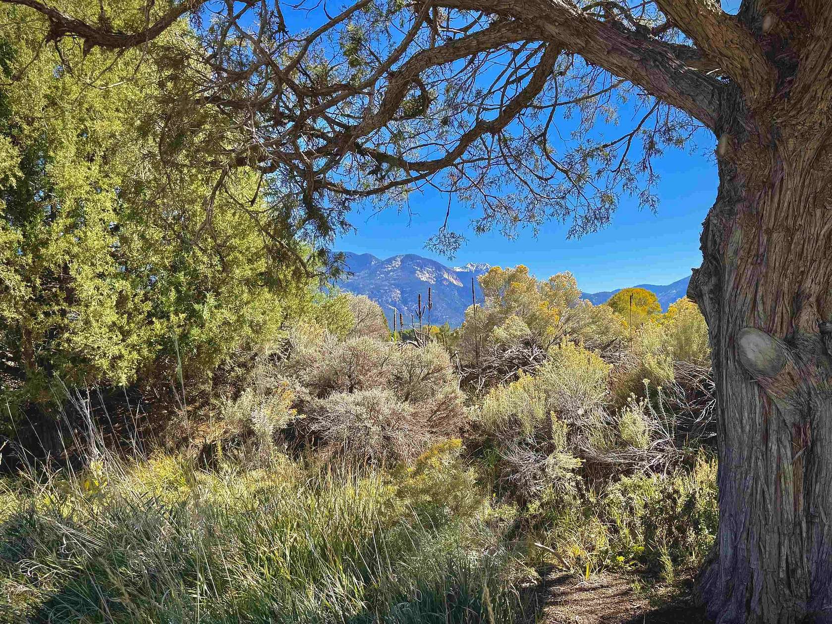 1.1 Acres of Residential Land for Sale in El Prado, New Mexico