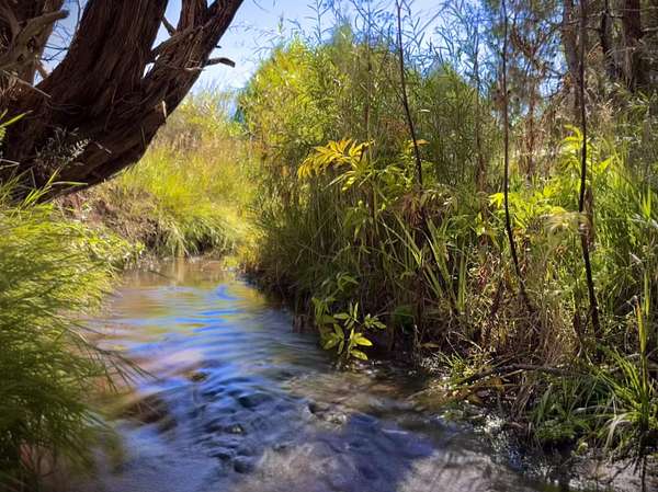 1.1 Acres of Residential Land for Sale in El Prado, New Mexico