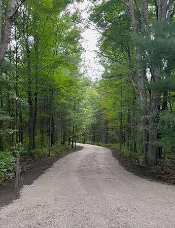 20 Acres of Recreational & Residential Land for Sale in Sanford, Michigan