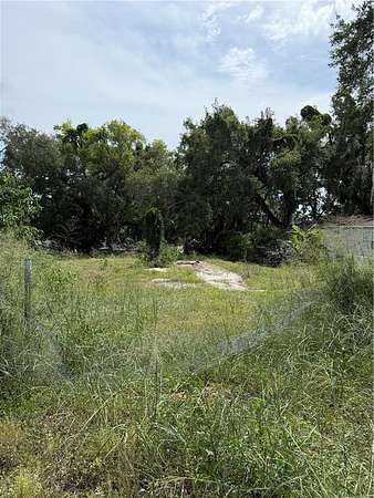 0.34 Acres of Residential Land for Sale in Leesburg, Florida