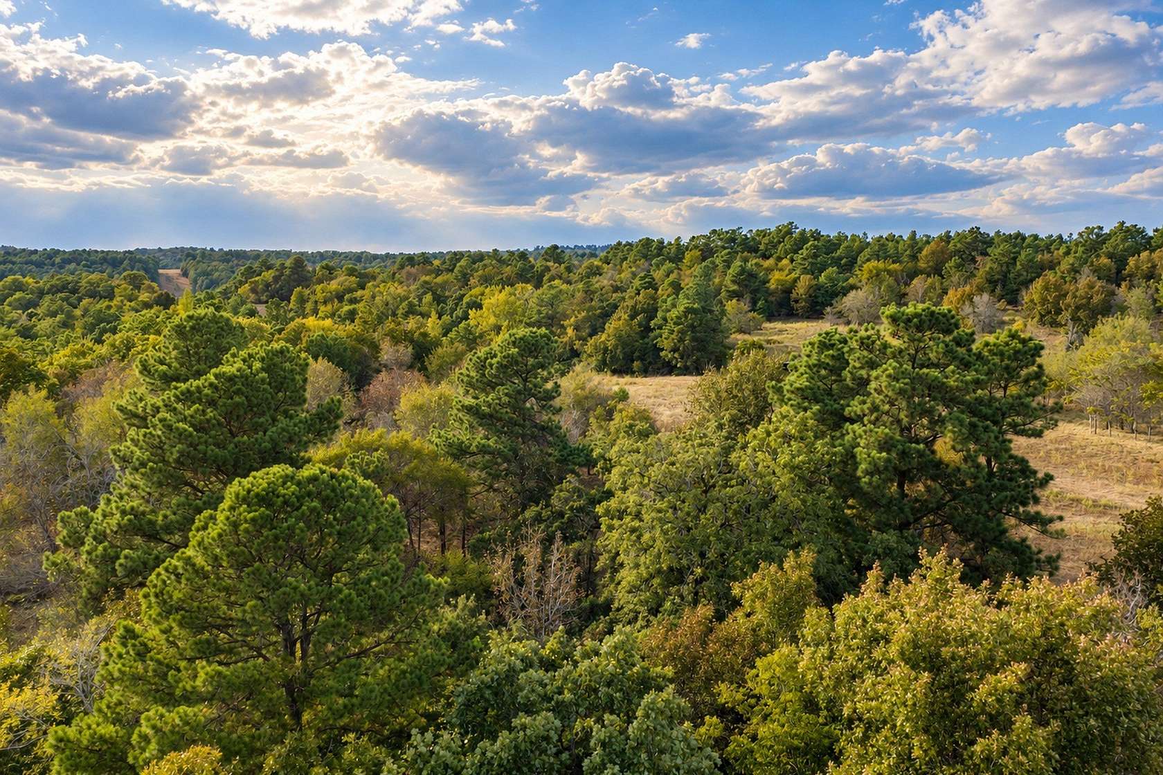 114 Acres of Recreational & Residential Land for Sale in Palestine, Texas