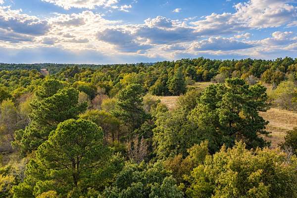 114 Acres of Recreational & Residential Land for Sale in Palestine, Texas