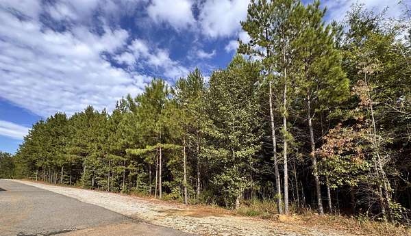 3 Acres of Commercial Land for Sale in Hot Springs Village, Arkansas