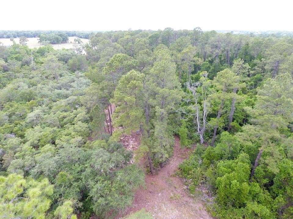 9.62 Acres of Land for Sale in Crescent City, Florida