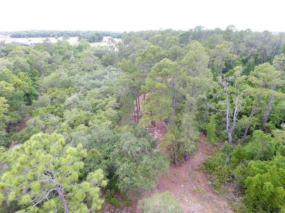 9.63 Acres of Residential Land for Sale in Pomona Park, Florida