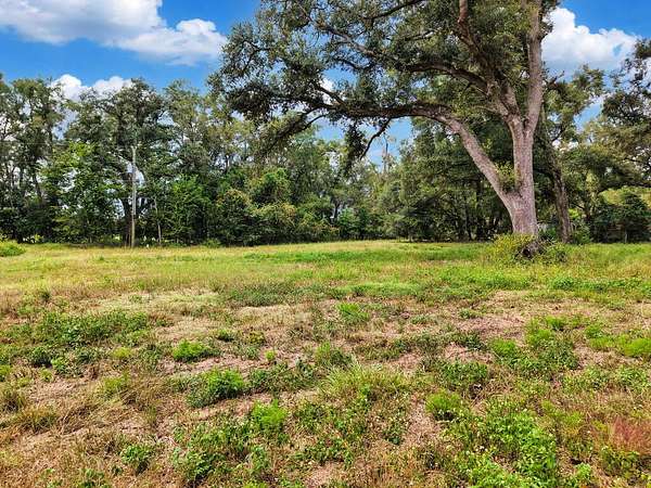3 Acres of Residential Land for Sale in Bell, Florida