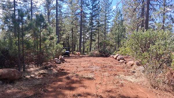173 Acres of Land for Sale in Shingletown, California