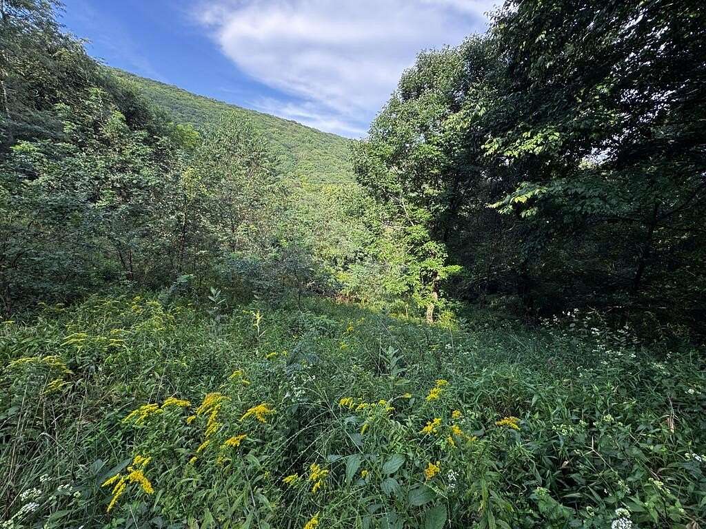 6 Acres of Residential Land for Sale in Independence, Virginia