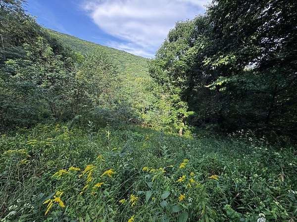 6 Acres of Residential Land for Sale in Independence, Virginia