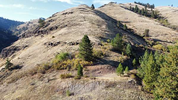 90.9 Acres of Recreational & Residential Land for Sale in White Bird, Idaho