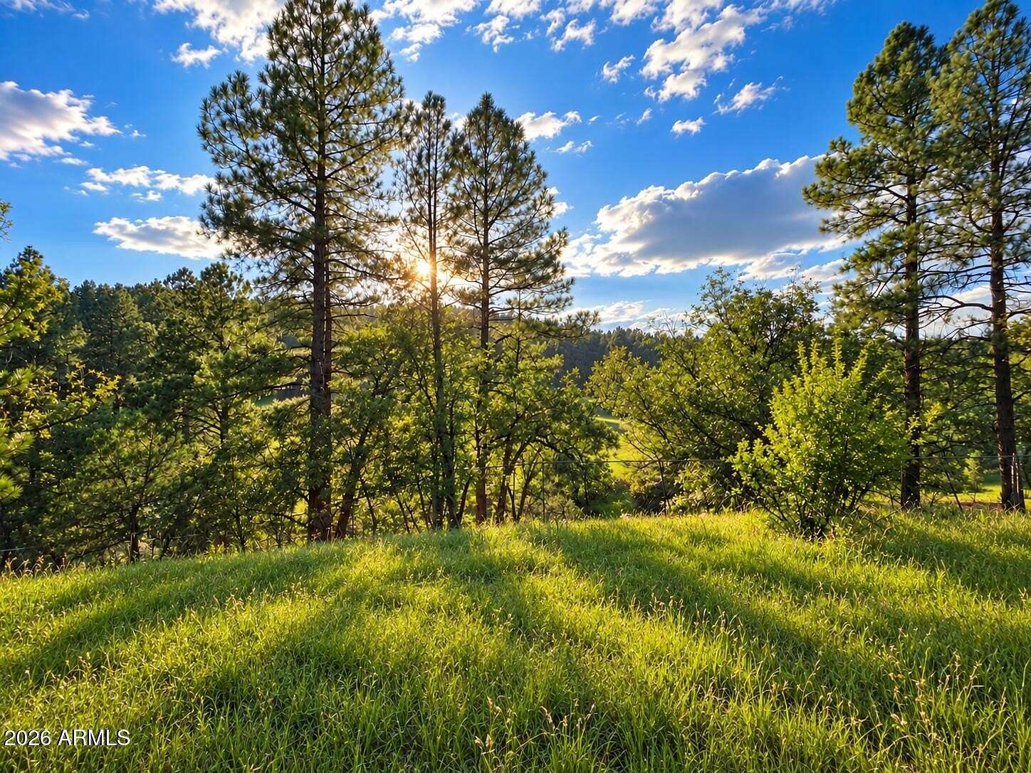 2.35 Acres of Residential Land for Sale in Payson, Arizona
