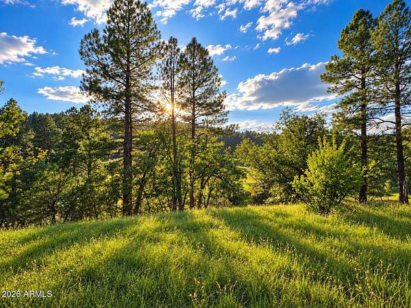 2.35 Acres of Residential Land for Sale in Payson, Arizona