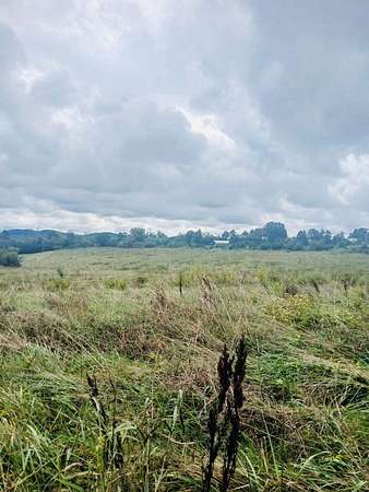 42 Acres of Agricultural & Residential Land for Sale in Rutledge, Tennessee