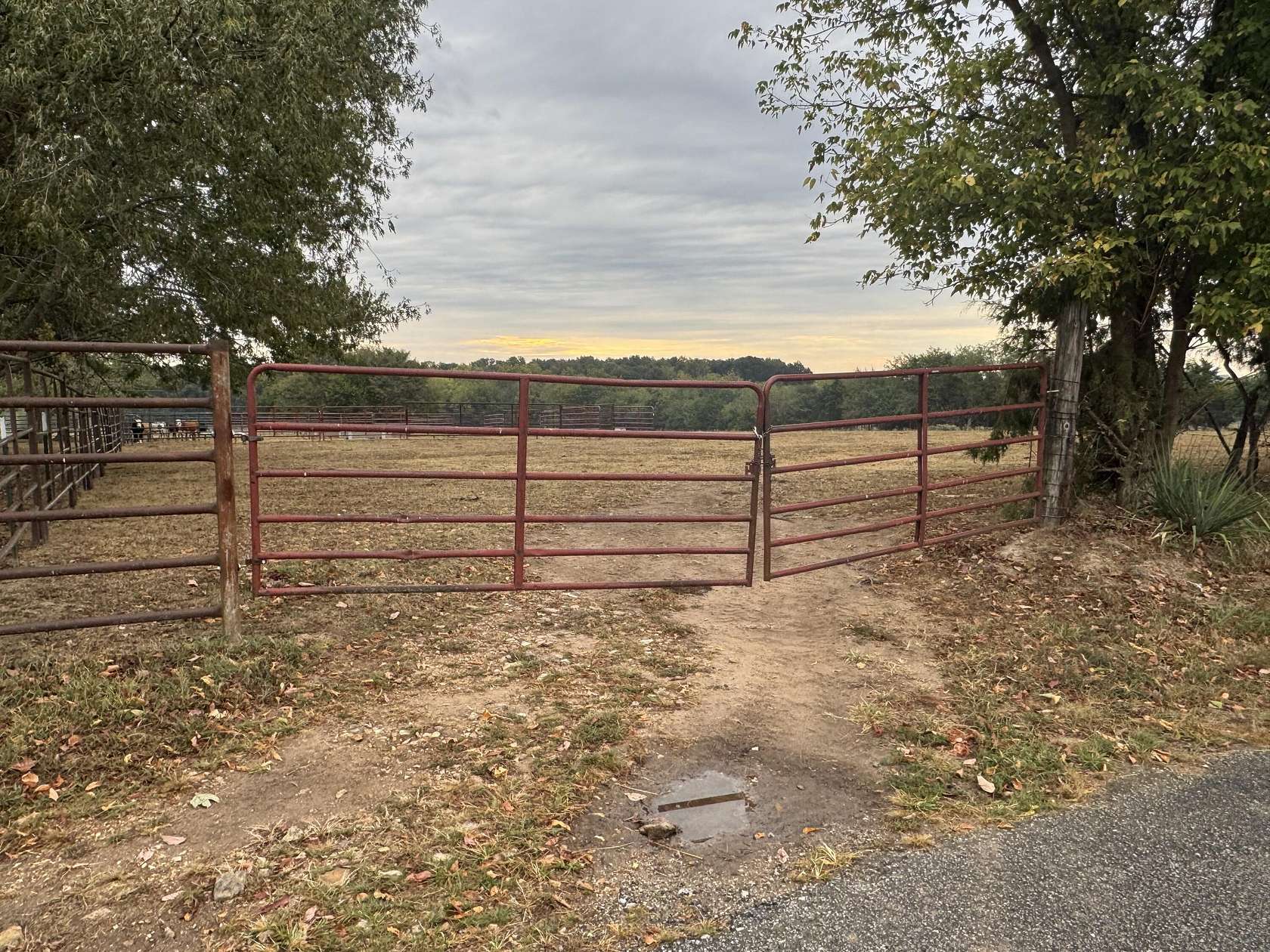 18.5 Acres of Land for Sale in Bolivar, Missouri