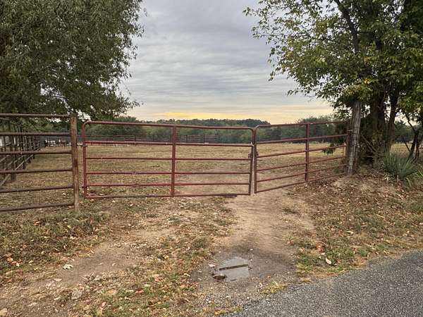 18.5 Acres of Land for Sale in Bolivar, Missouri