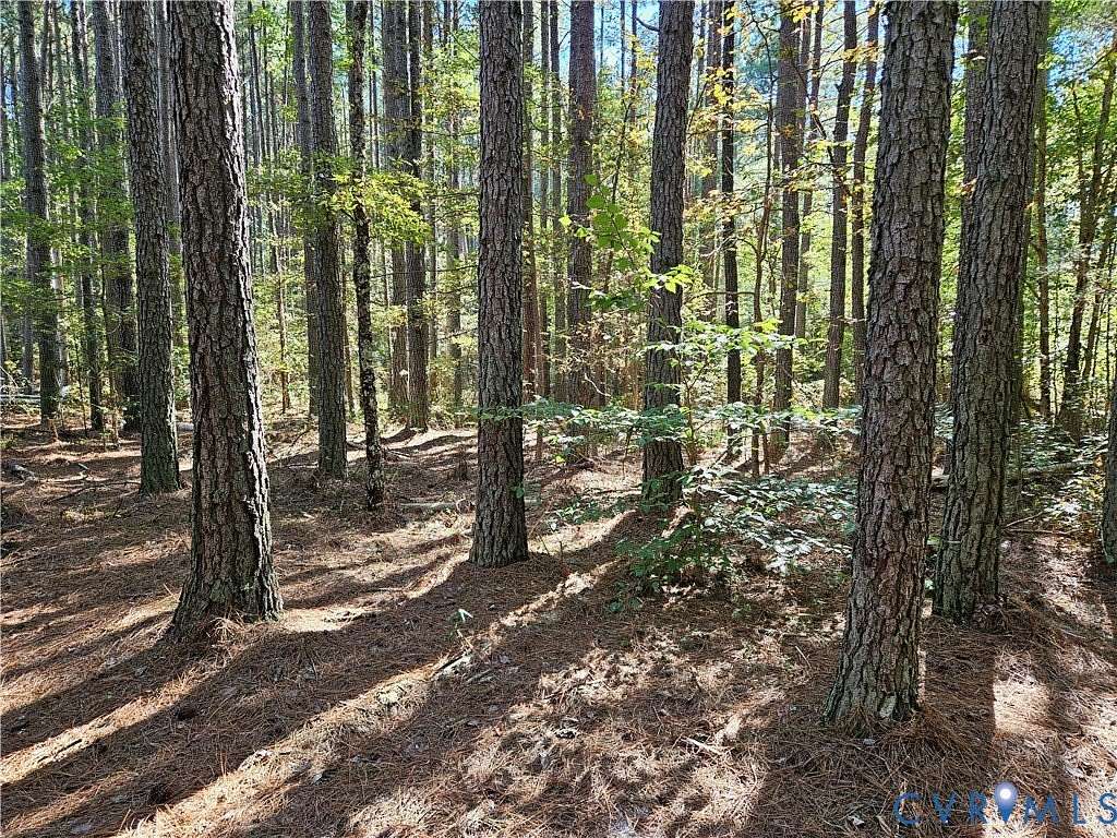 33.7 Acres of Recreational & Residential Land for Sale in Amelia Court House, Virginia