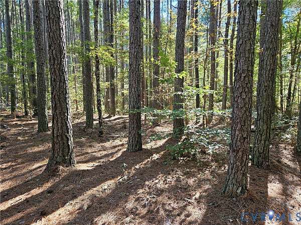 33.7 Acres of Recreational & Residential Land for Sale in Amelia Court House, Virginia