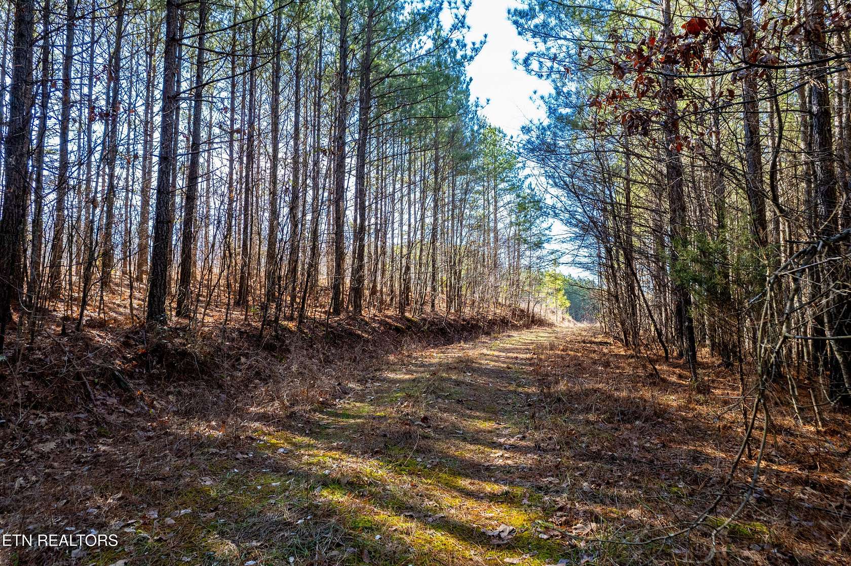 78.1 Acres of Land for Sale in Rockwood, Tennessee