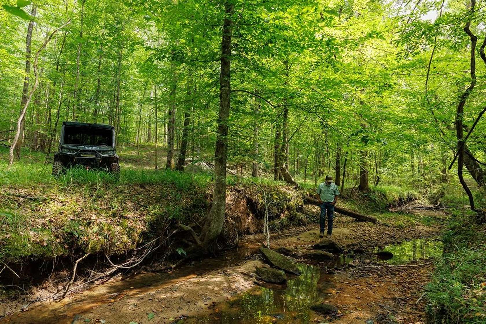 396 Acres of Recreational Land for Sale in Eclectic, Alabama