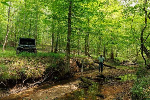 396 Acres of Recreational Land for Sale in Eclectic, Alabama