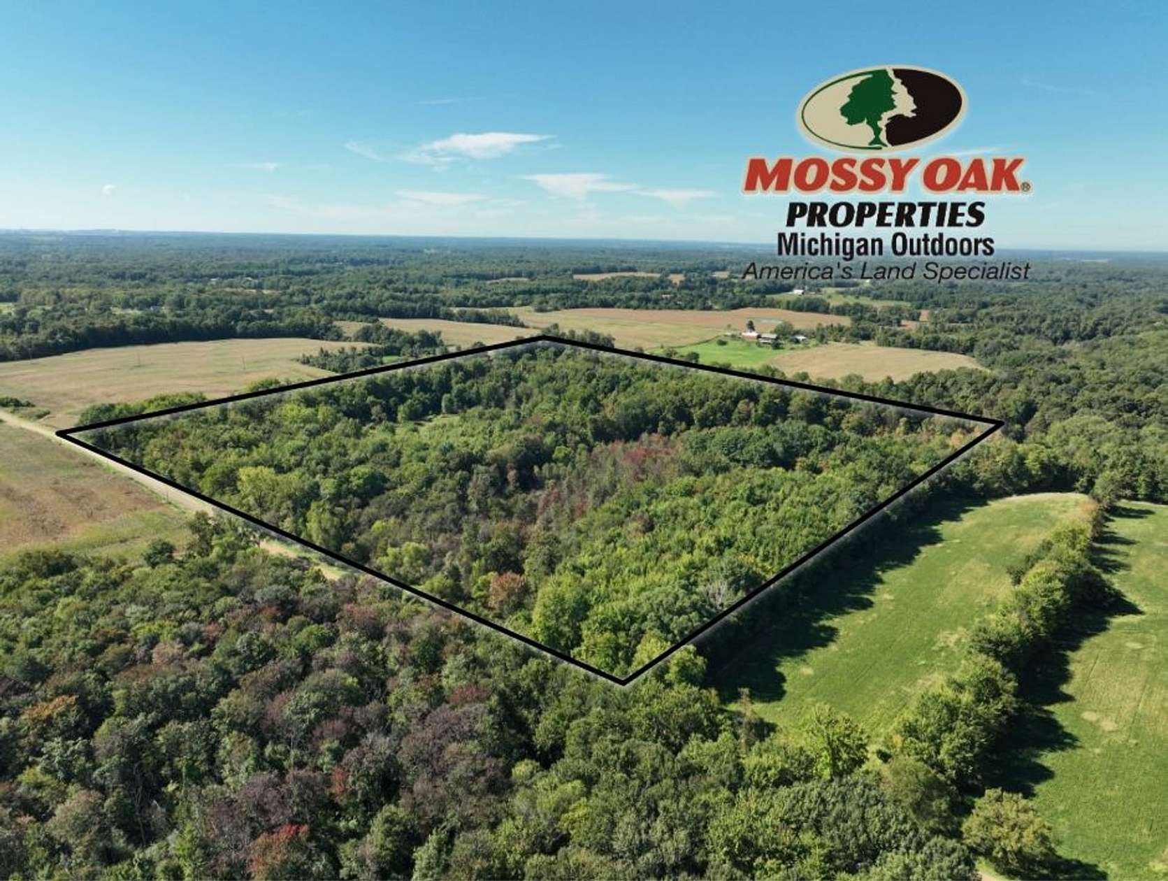 40 Acres of Land for Sale in Buchanan, Michigan