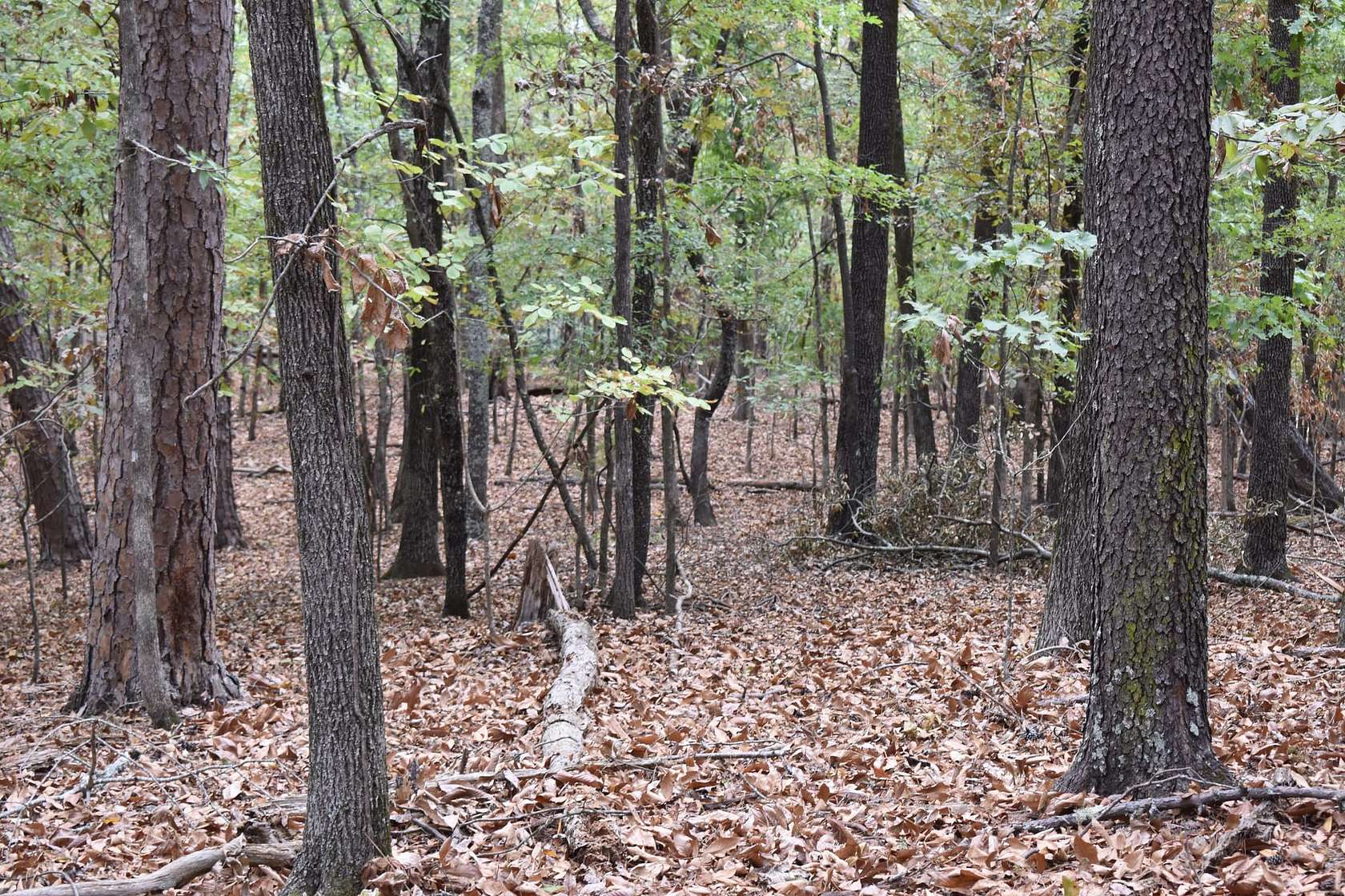 1.4 Acres of Residential Land for Sale in Hot Springs, Arkansas