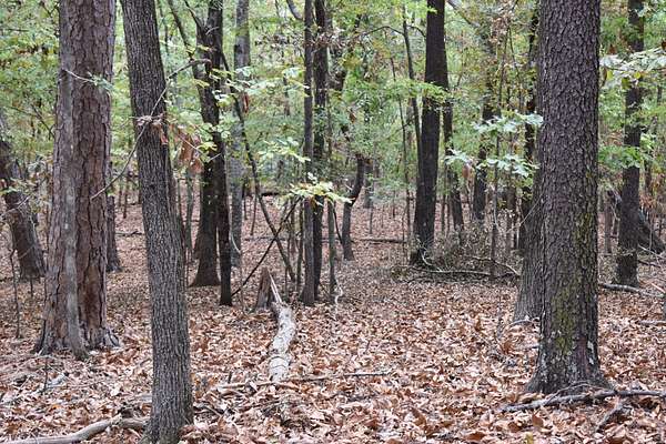 1.4 Acres of Residential Land for Sale in Hot Springs, Arkansas
