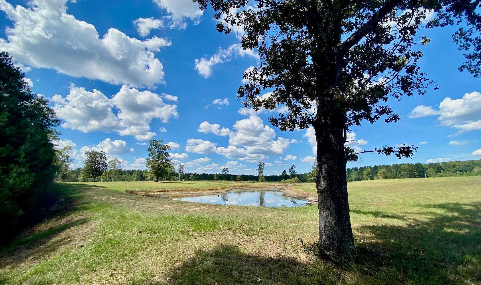 16 Acres of Land for Sale in Sumrall, Mississippi