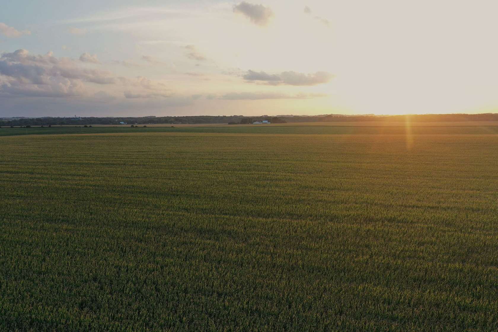 180 Acres of Land for Auction in Rock Falls, Iowa
