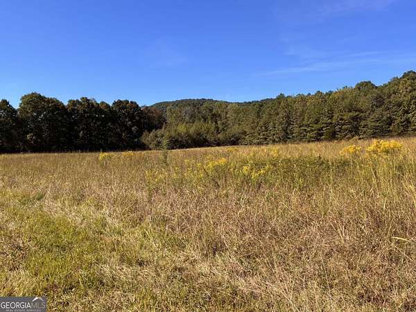 36.6 Acres of Land for Sale in Lyerly, Georgia