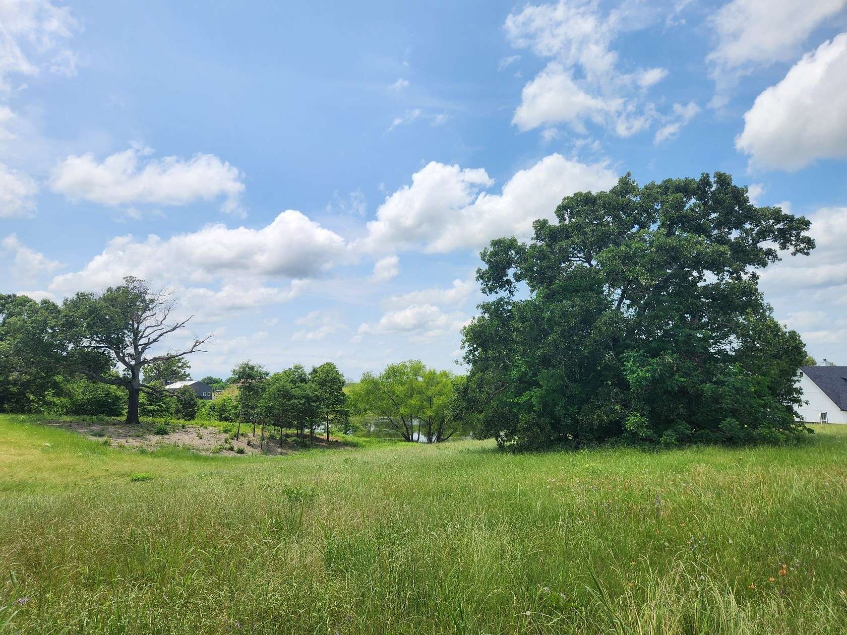 1 Acre of Land for Sale in Athens, Texas
