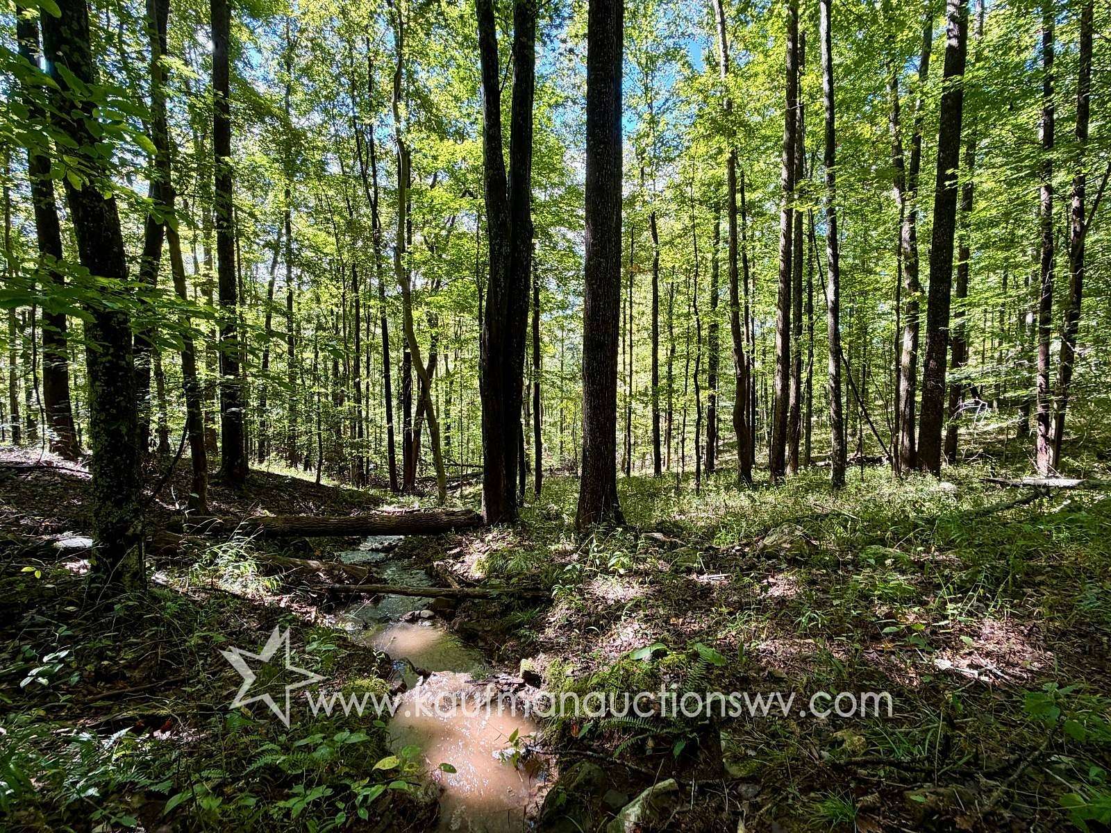 74.9 Acres of Recreational Land for Sale in Crawford, West Virginia