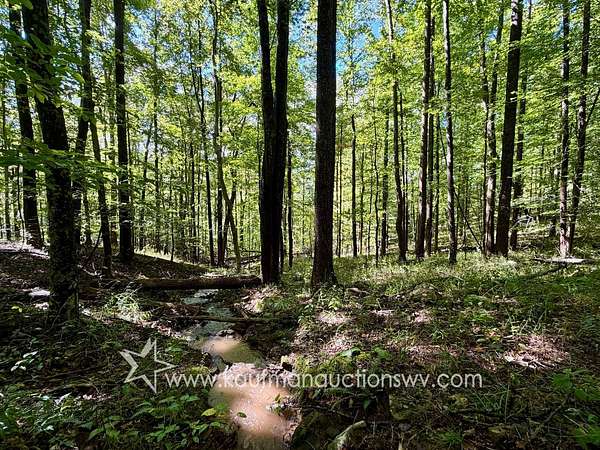 74.9 Acres of Recreational Land for Sale in Crawford, West Virginia