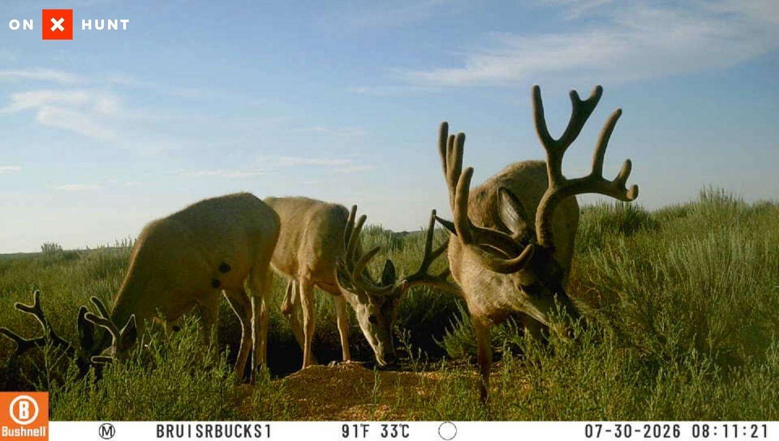 148 Acres of Recreational Land for Sale in Kendall Township, Kansas