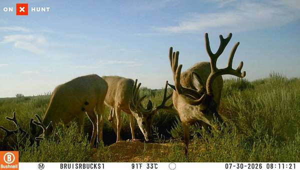 148 Acres of Recreational Land for Sale in Kendall Township, Kansas