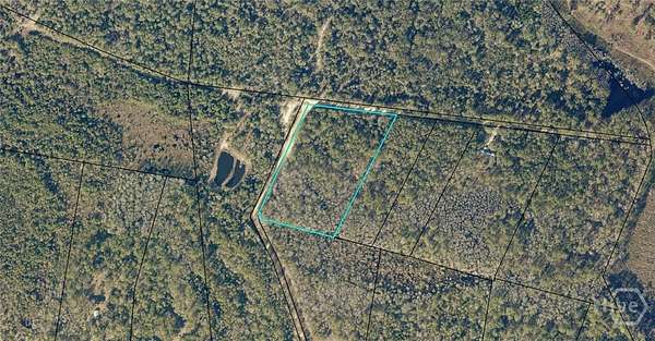 5.5 Acres of Residential Land for Sale in Claxton, Georgia