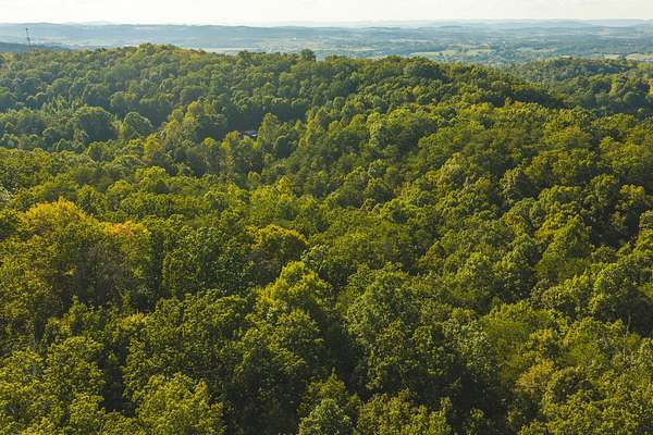 8.62 Acres of Residential Land for Sale in Bulls Gap, Tennessee