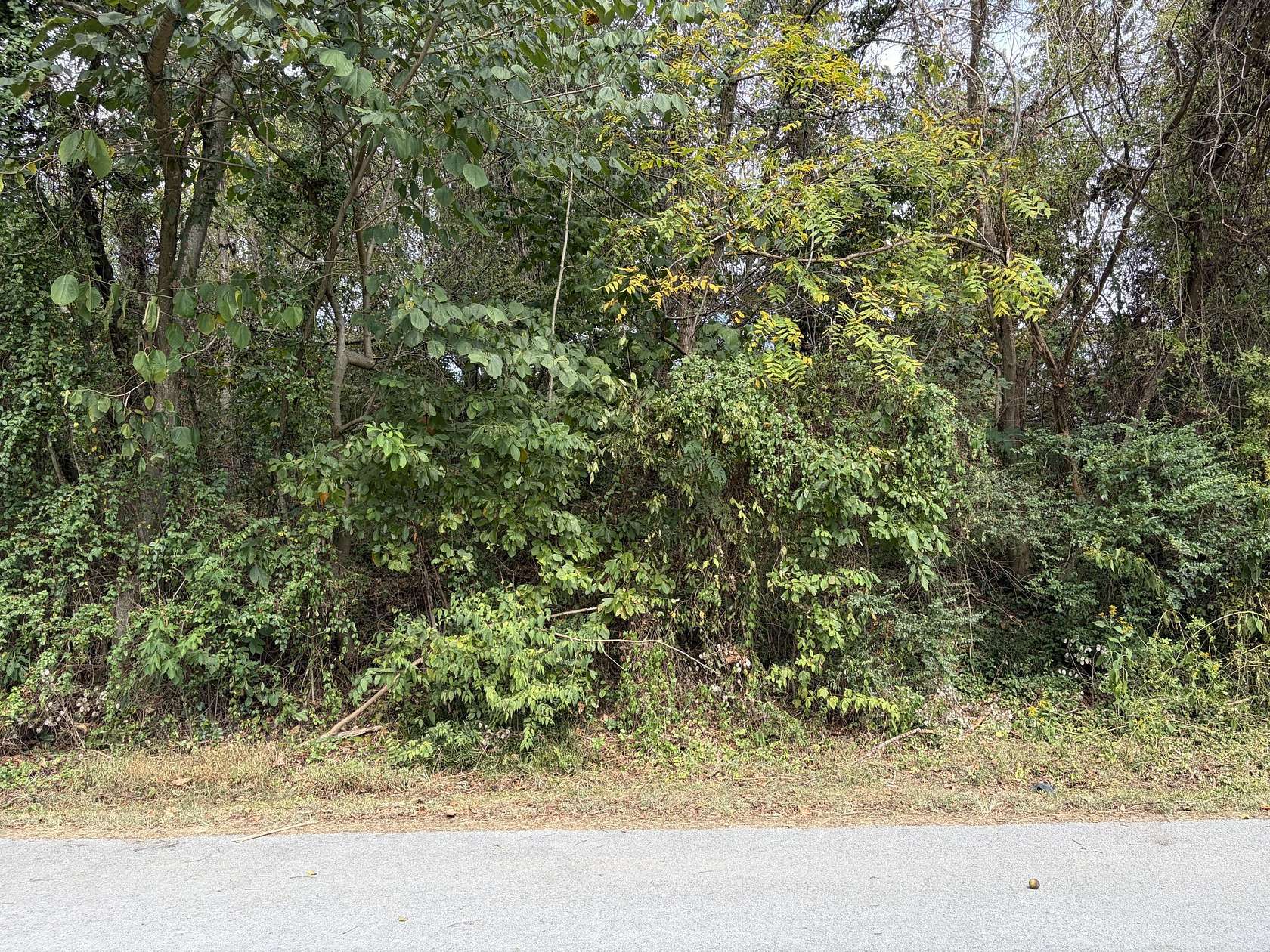 Residential Land for Sale in Bean Station, Tennessee