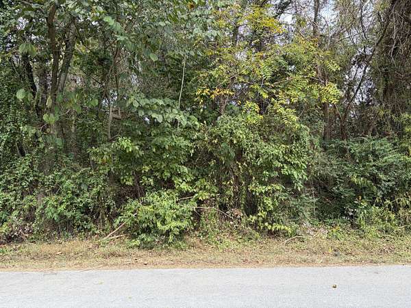 Residential Land for Sale in Bean Station, Tennessee