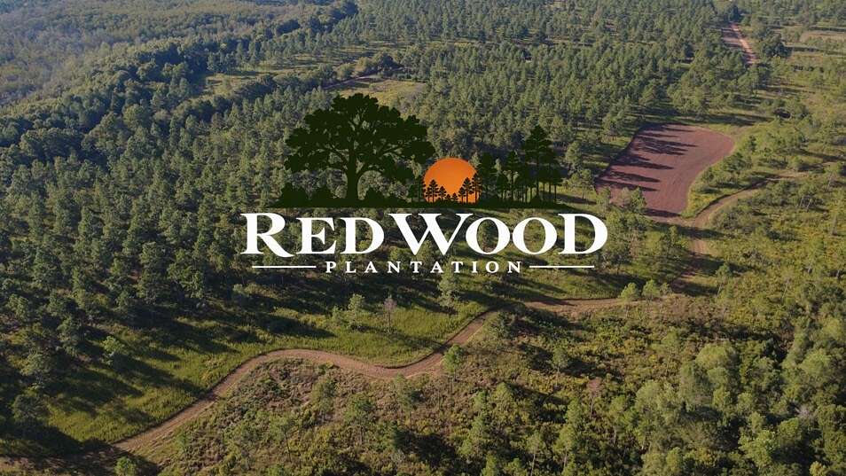 750 Acres of Recreational & Residential Land for Sale in Bronwood, Georgia