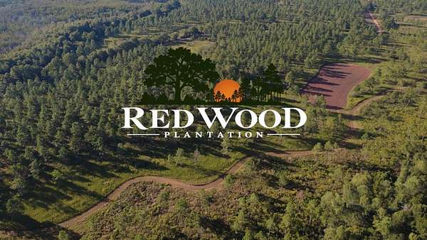 750 Acres of Recreational & Residential Land for Sale in Bronwood, Georgia