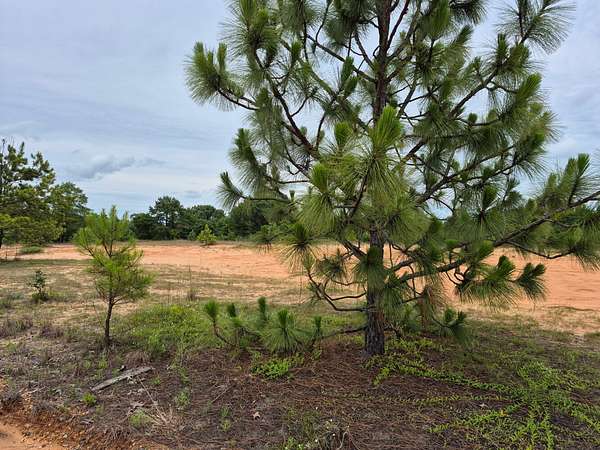 27 Acres of Recreational Land with Home for Sale in Plantersville, Alabama