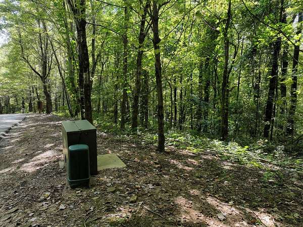 10 Acres of Land for Sale in Jasper, Georgia