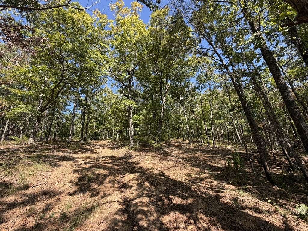 40 Acres of Land for Sale in West Fork, Arkansas