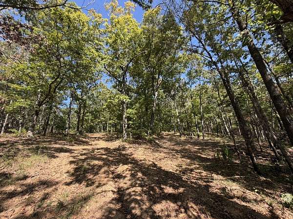 40 Acres of Land for Sale in West Fork, Arkansas