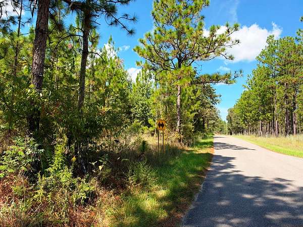 182 Acres of Land for Sale in Lumberton, Mississippi