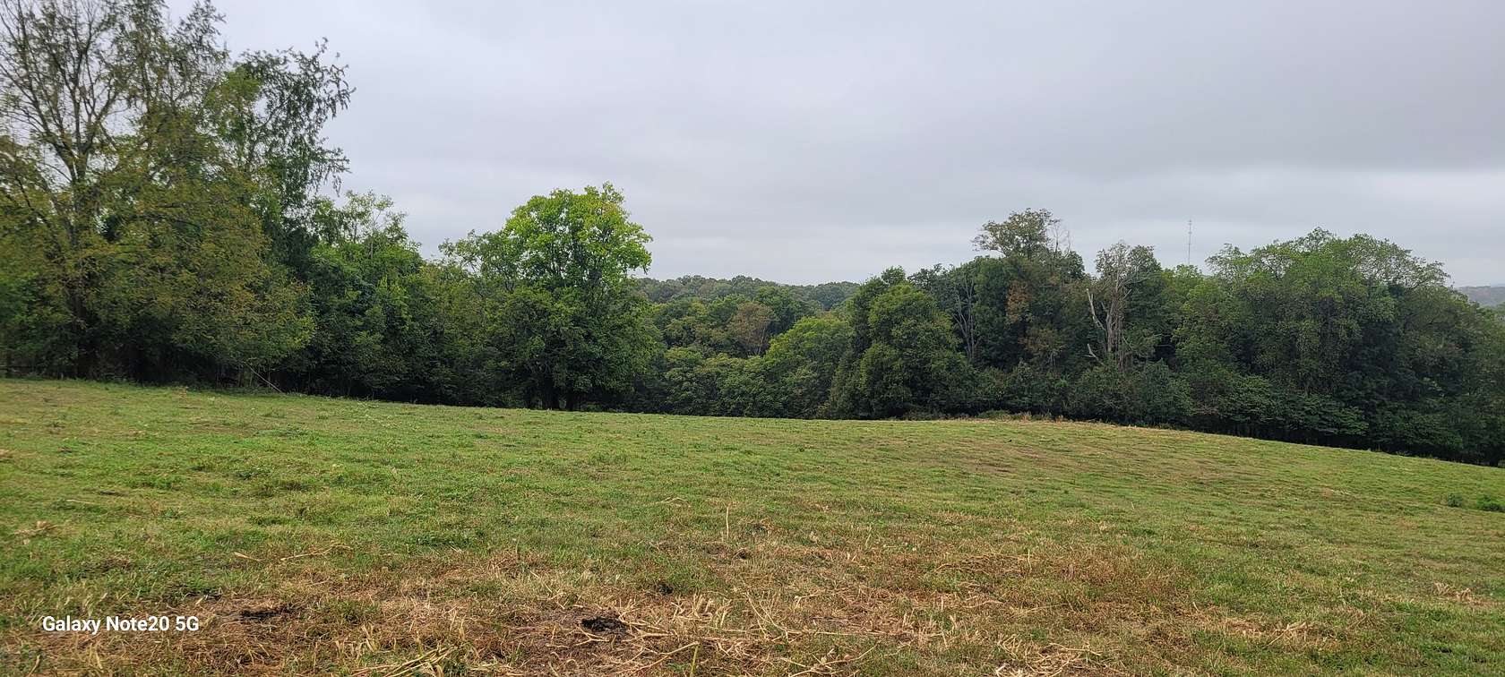 10 Acres of Residential Land for Sale in College Grove, Tennessee
