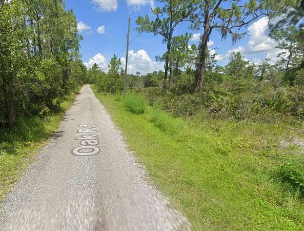 1 Acre of Residential Land for Sale in Sebring, Florida